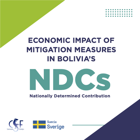 Economic Impact Of Mitigation Measures In Bolivia's Nationally ...